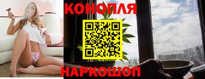 СК Абакан