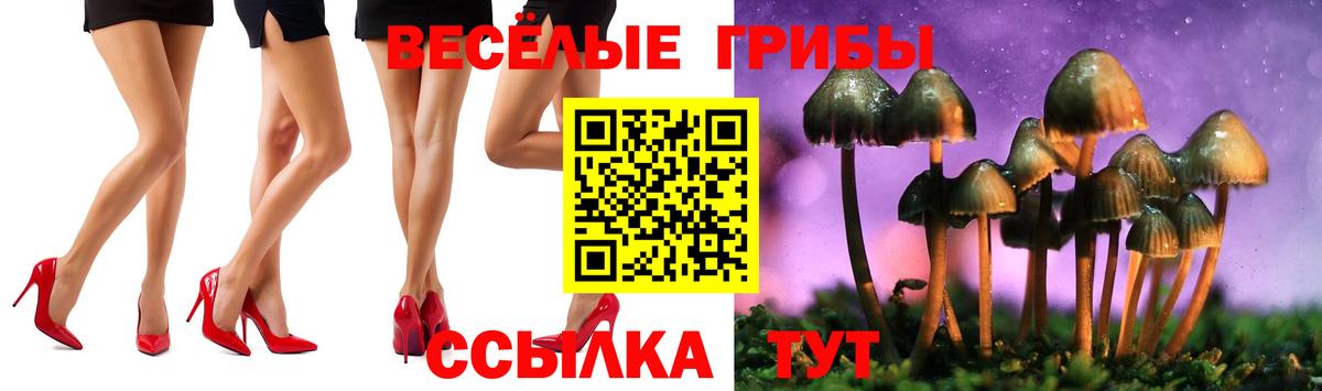 Псилоцибиновые грибы ЛСД  Псилоцибиновые грибы GOLDEN TEACHER  Апатиты  Вход с VPN 