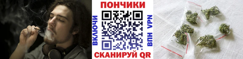 Каннабис сатива Апатиты