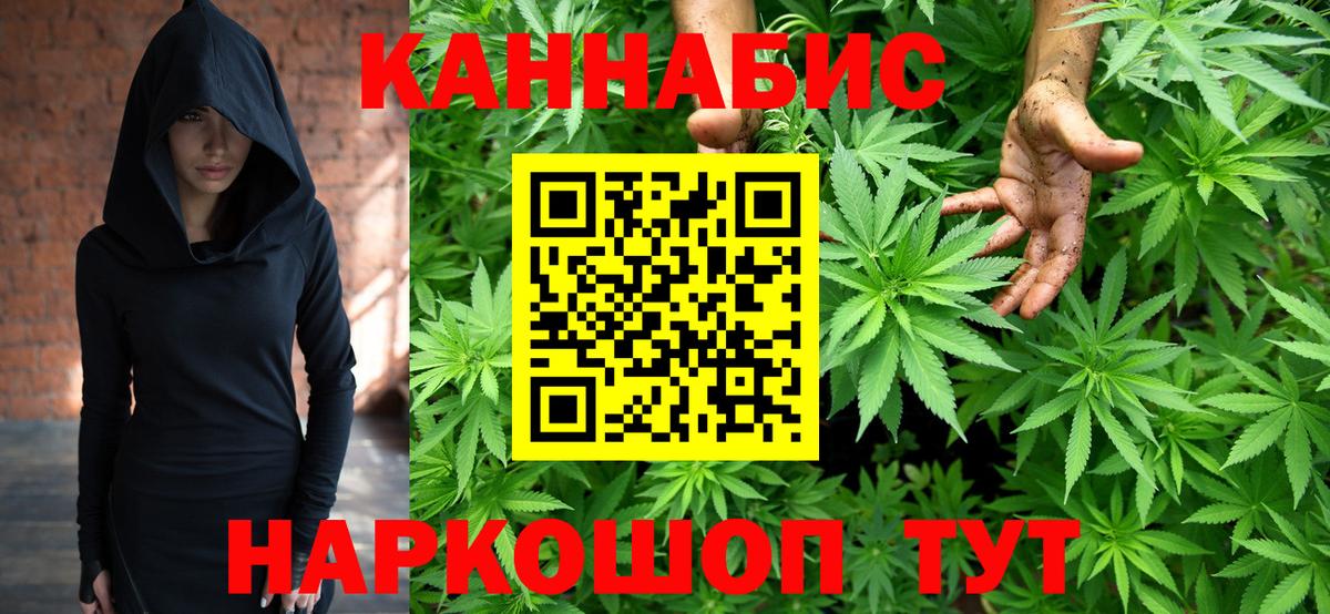 МАРИХУАНА конопля Апатиты